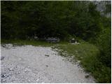 Planina Polog - Source of Tolminka